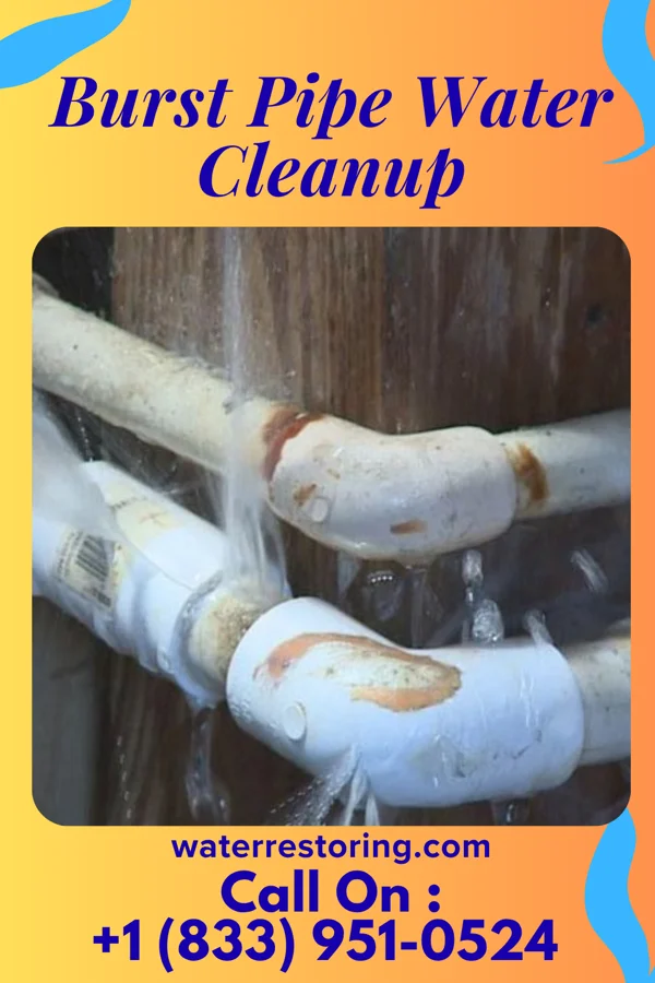 Burst Pipe Water Cleanup in Glendive, MT