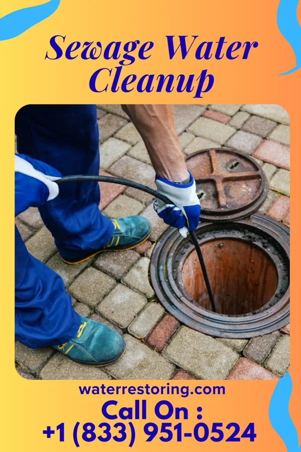 Sewage Water Cleanup in Glendive, MT